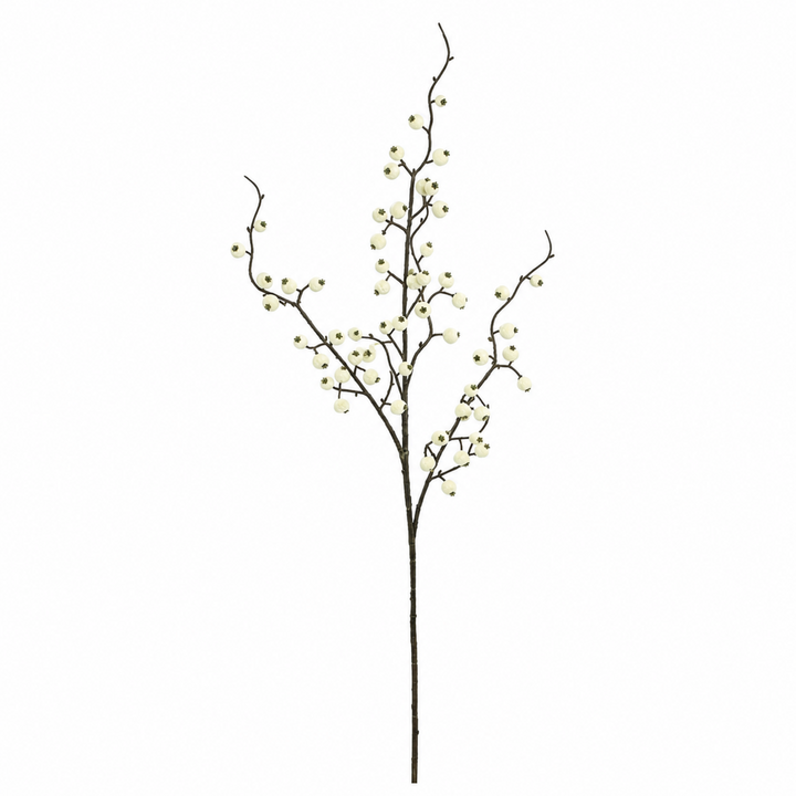 Wild Currant Berry Spray