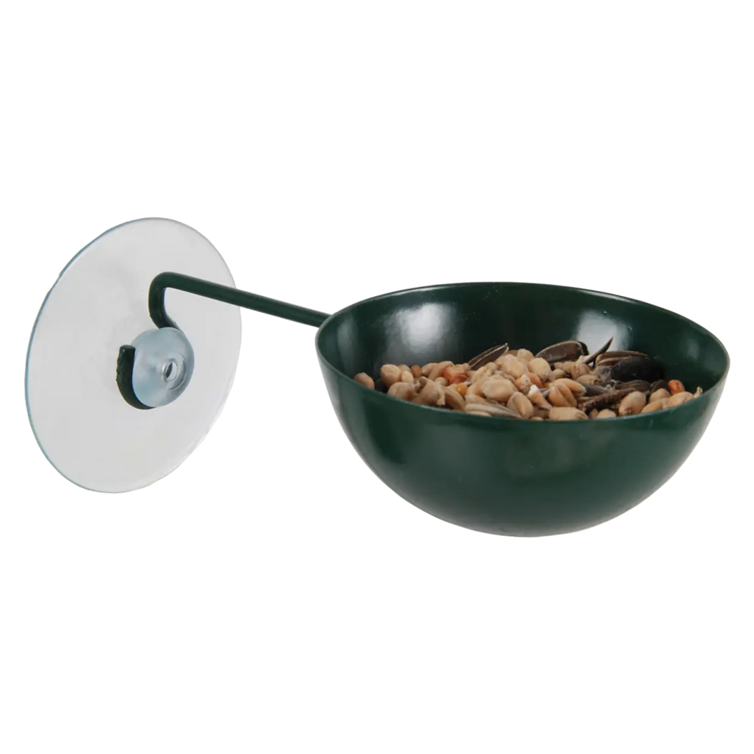 Green bird feeder with seeds on a white background
