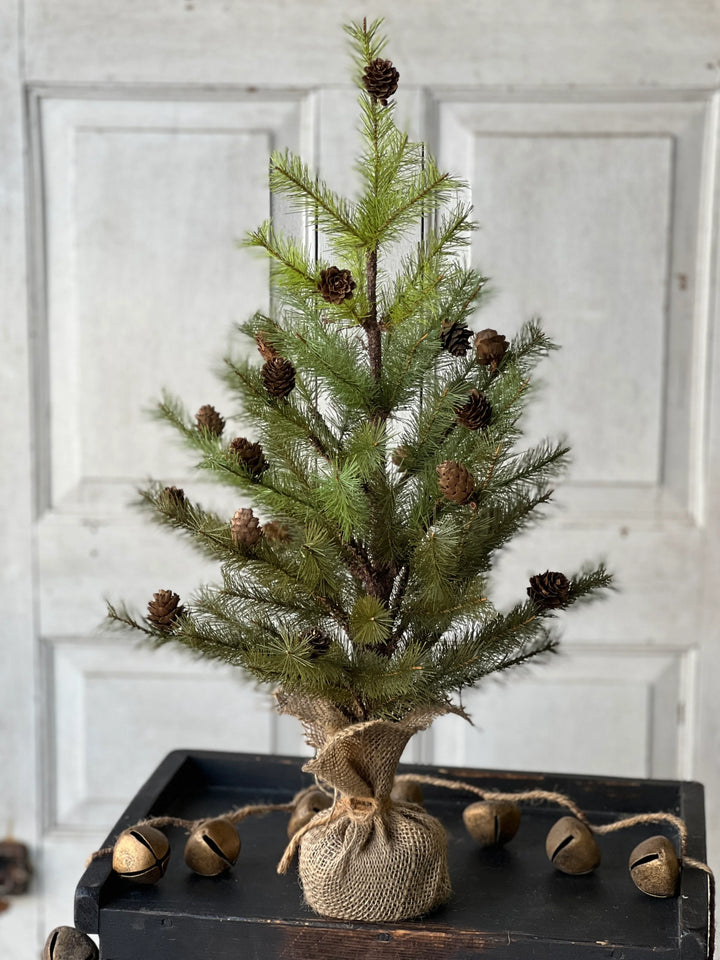 Greenup Cones Pine Tree - Local Pickup