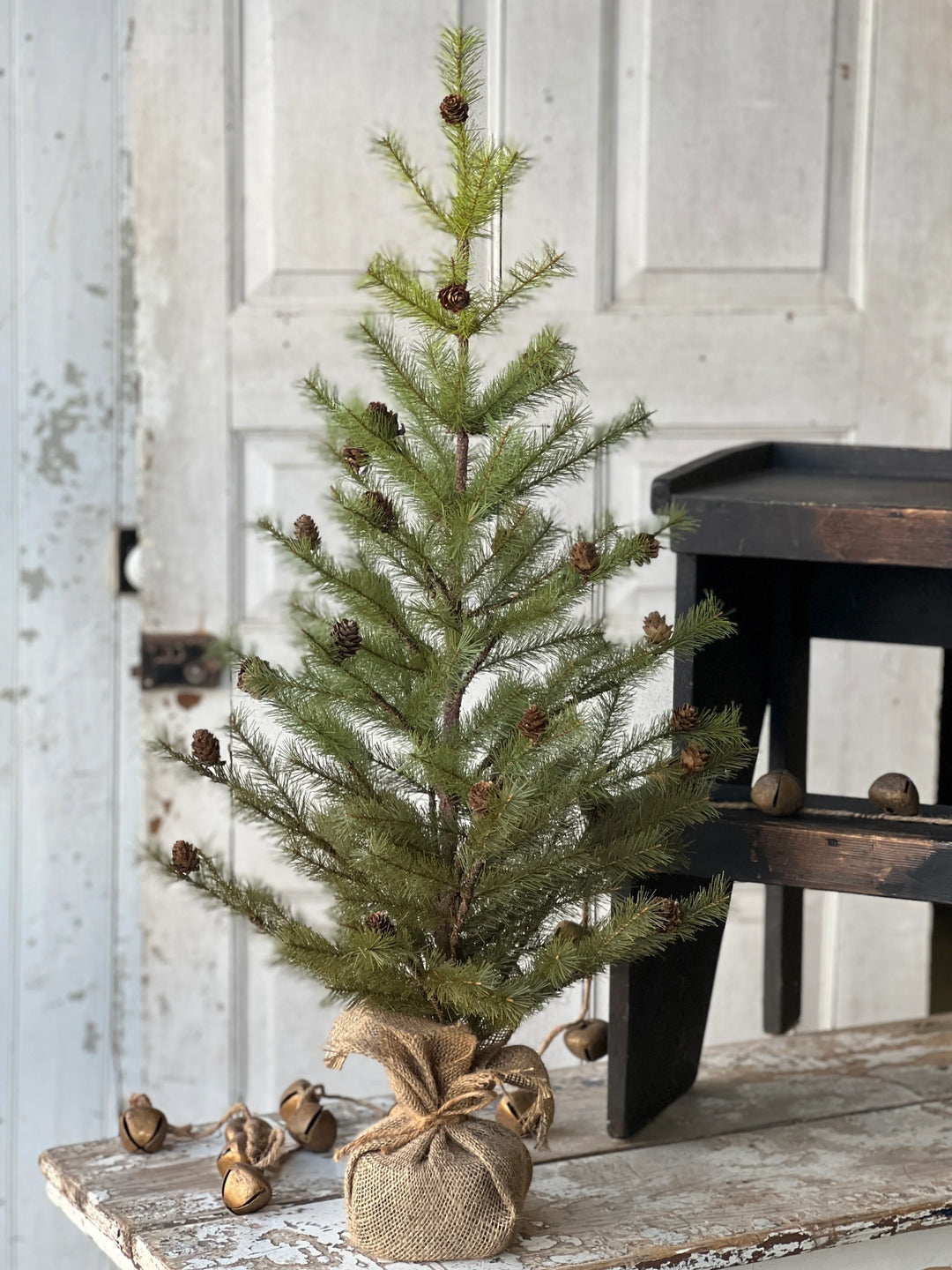 Greenup Cones Pine Tree - Local Pickup