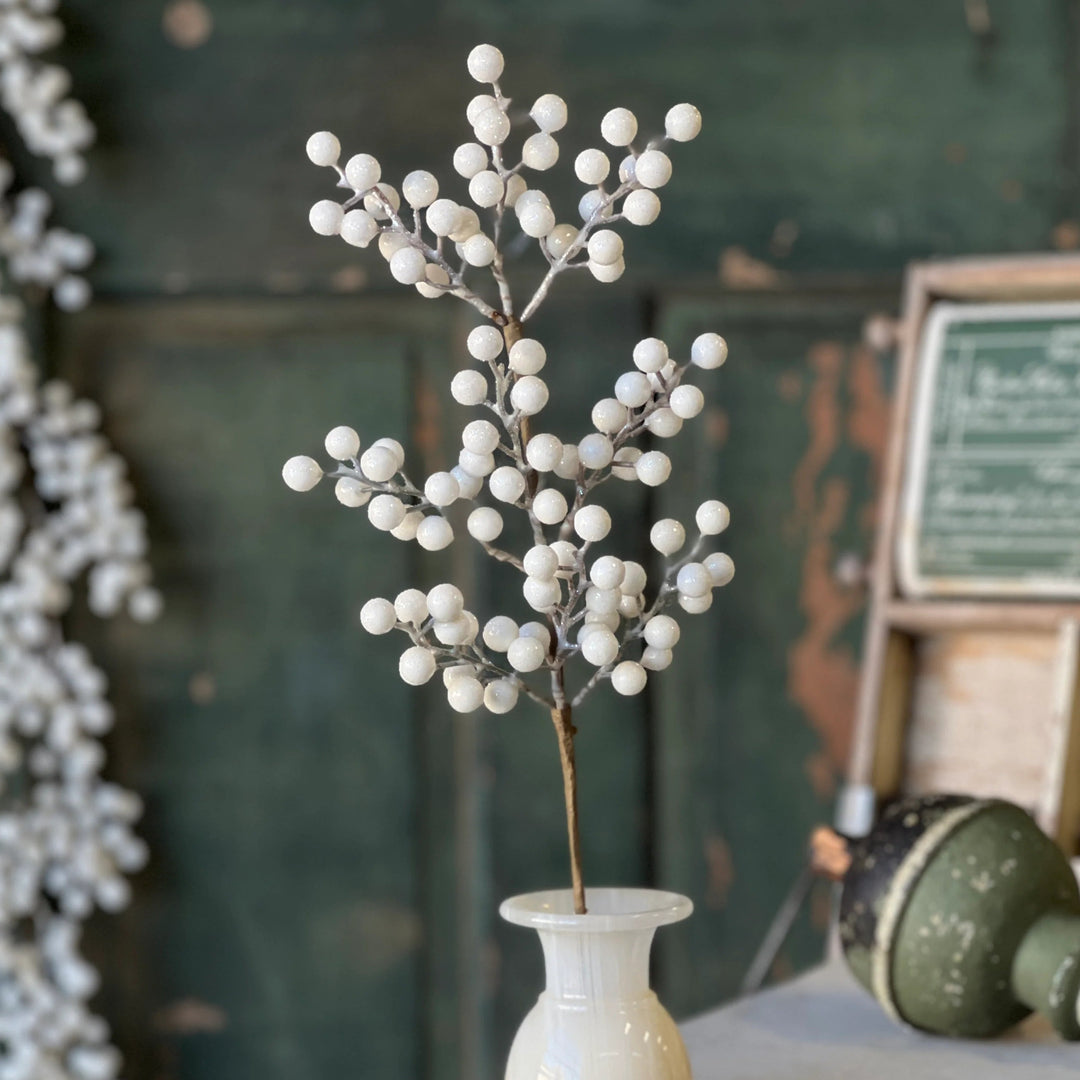 Icy Snowdrop Berry Pick