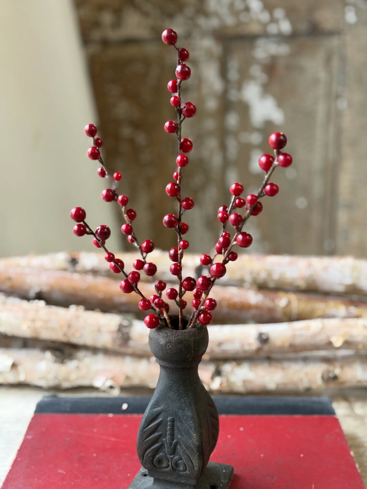 Red Reverie Berry Bush