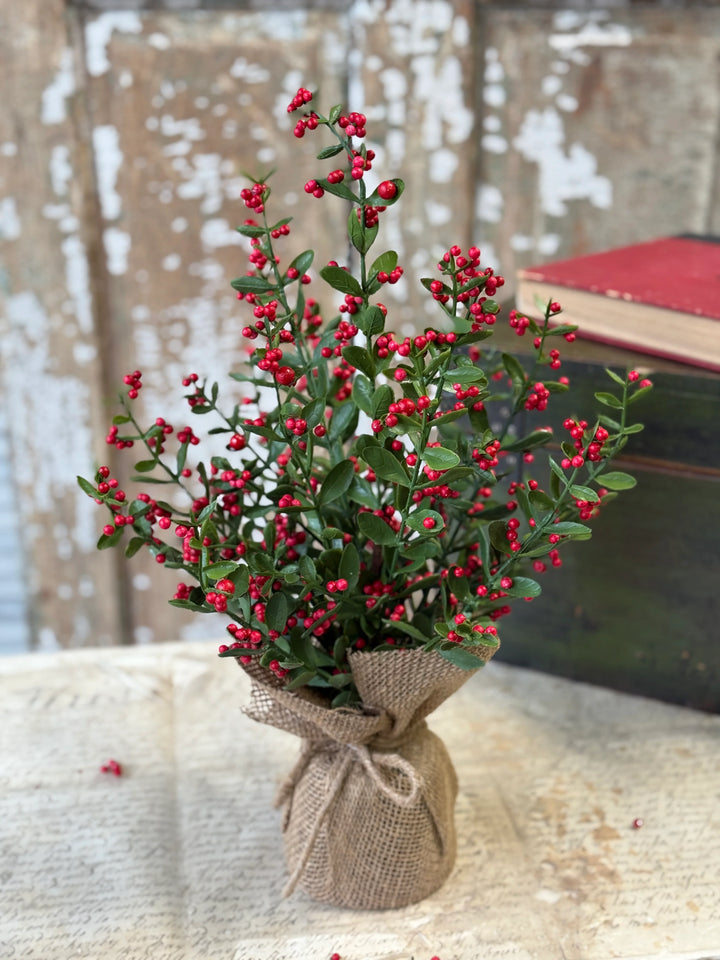 Sutherland Berry Tree