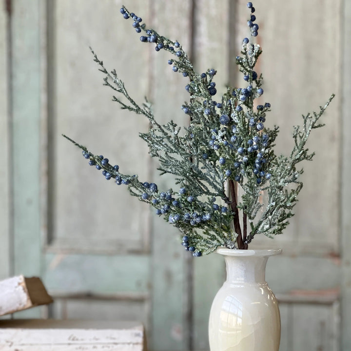 Icy Northwind Juniper Pick