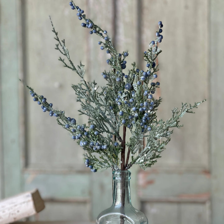 Icy Northwind Juniper Pick