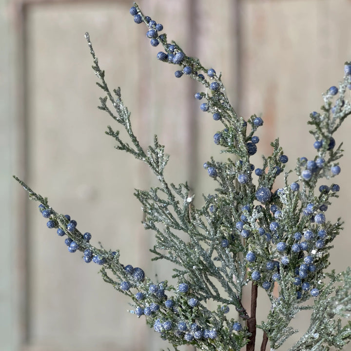 Icy Northwind Juniper Pick