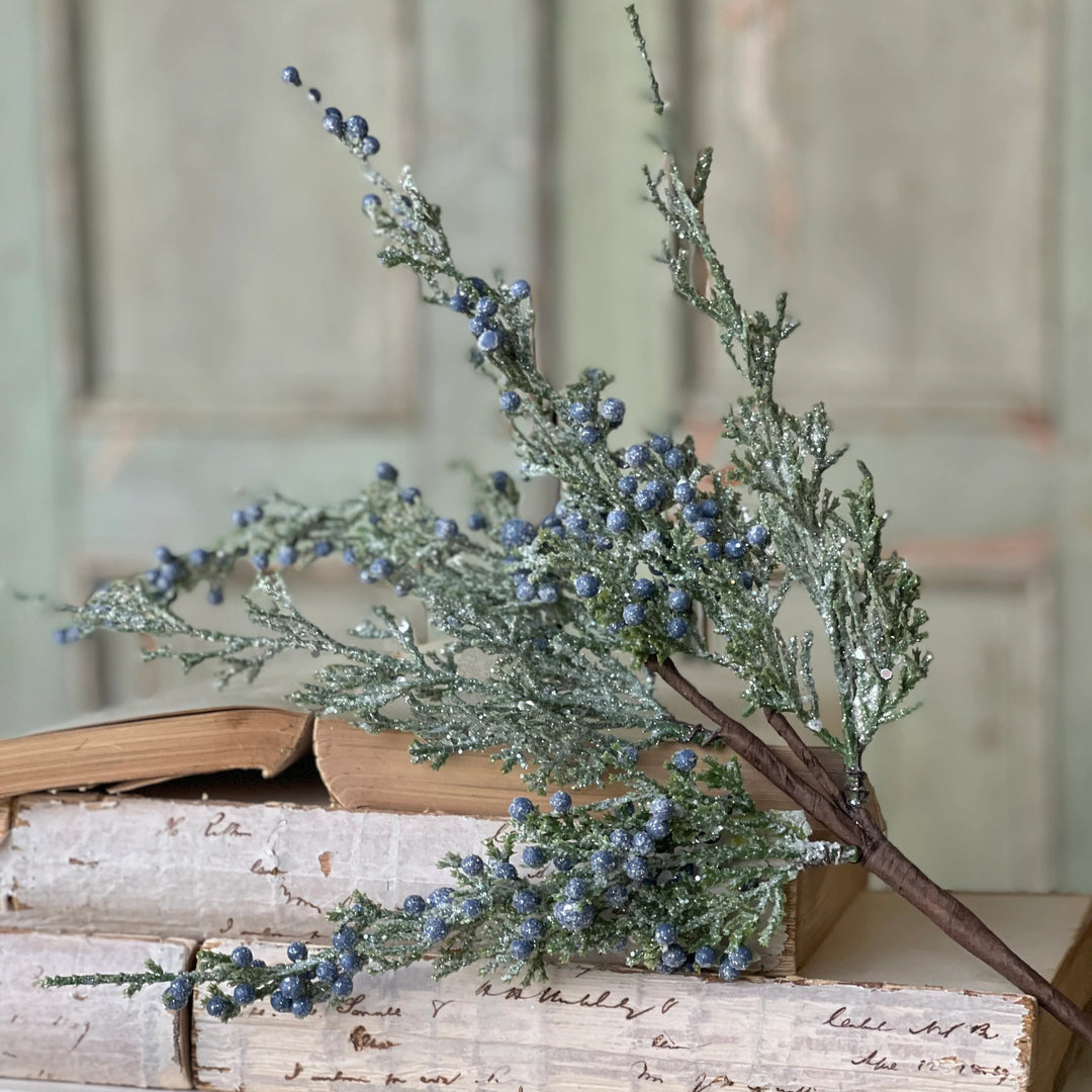 Icy Northwind Juniper Pick