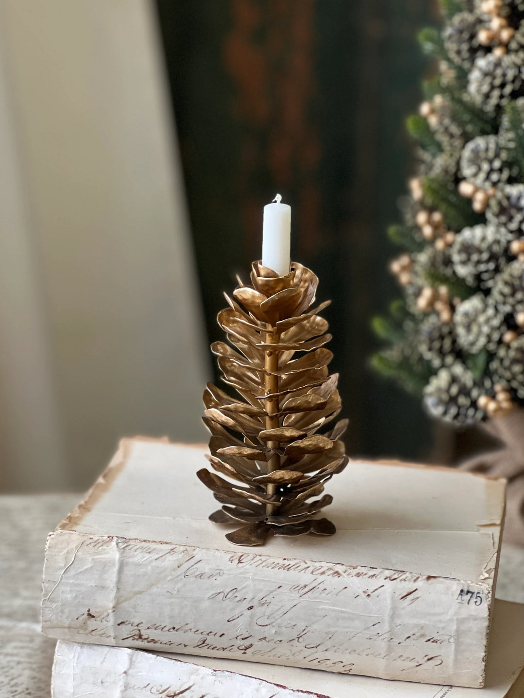 Epaulette Golden Pinecone