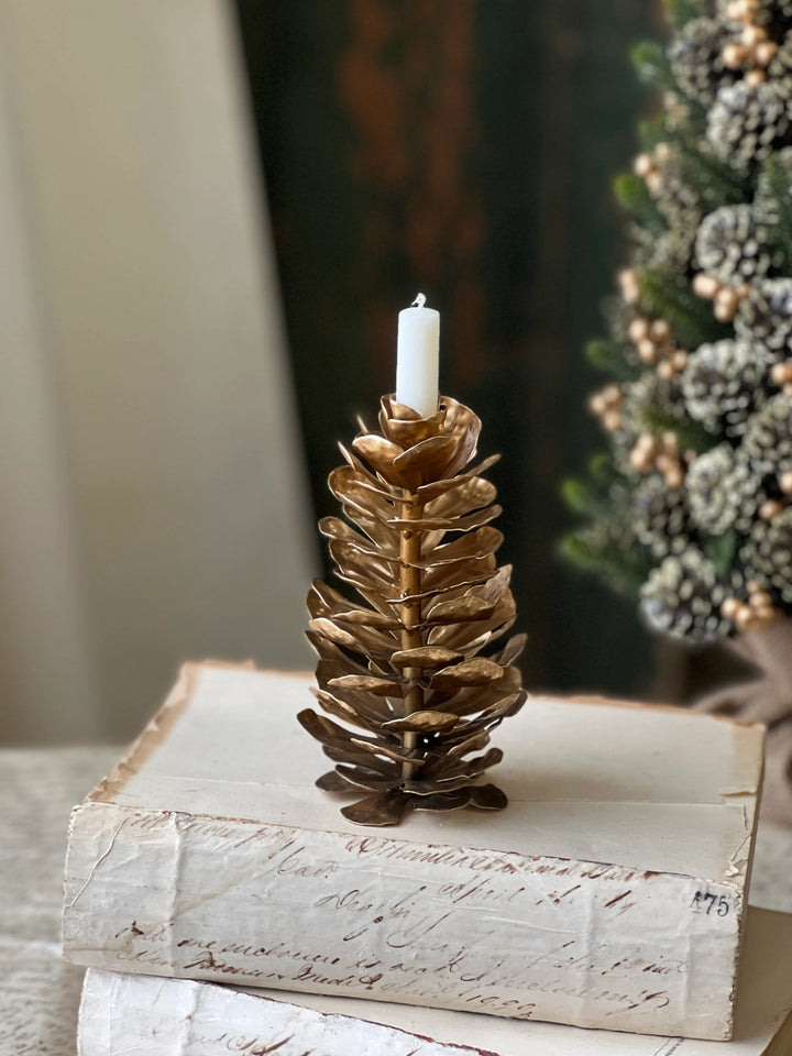 Epaulette Golden Pinecone