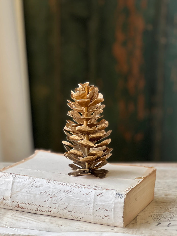 Epaulette Golden Pinecone