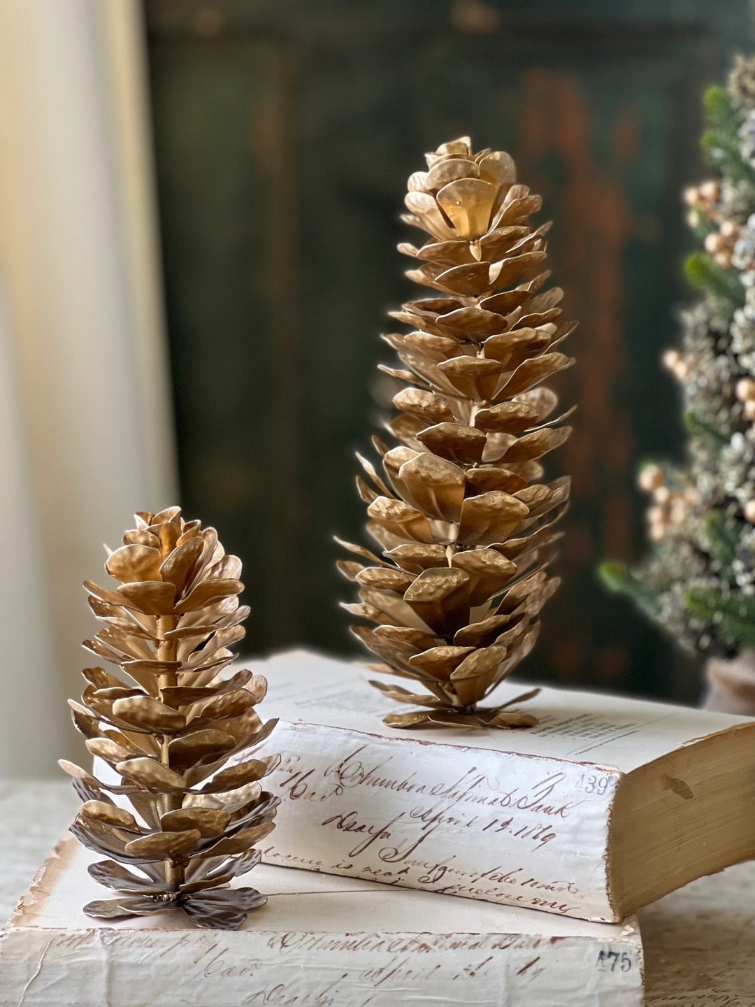 Epaulette Golden Pinecone