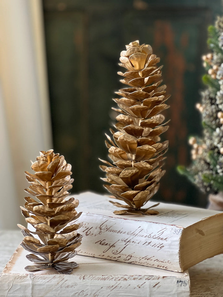 Epaulette Golden Pinecone