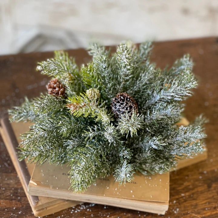 Frosted White Spruce Half Sphere