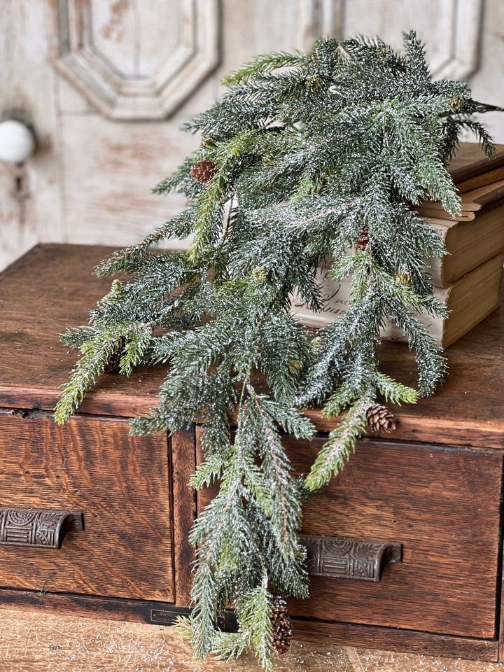 Frosted White Spruce Hanging Foliage