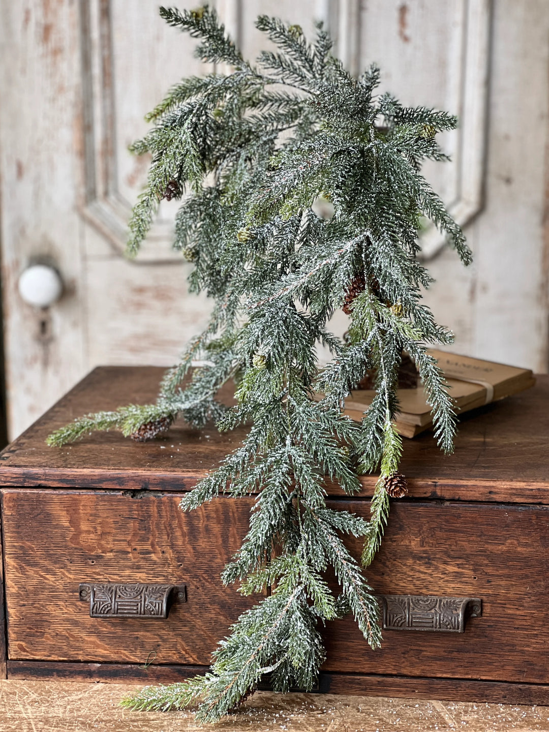 Frosted White Spruce Hanging Foliage