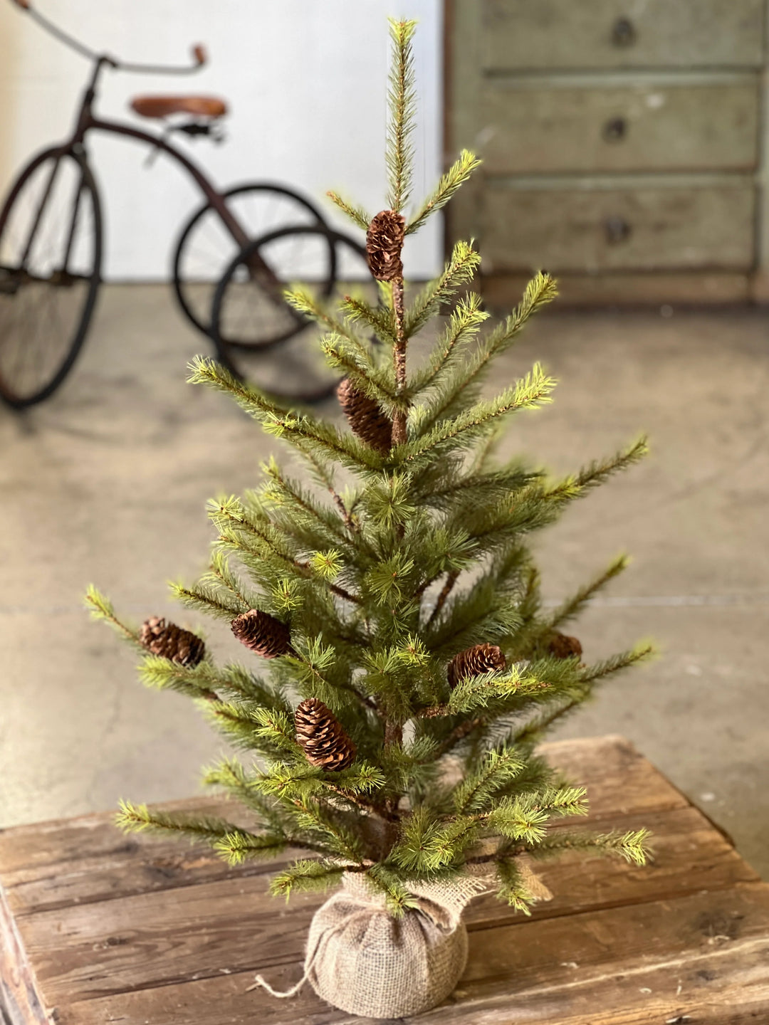 Caribou Ridge Pinecone Tree - Local Pickup