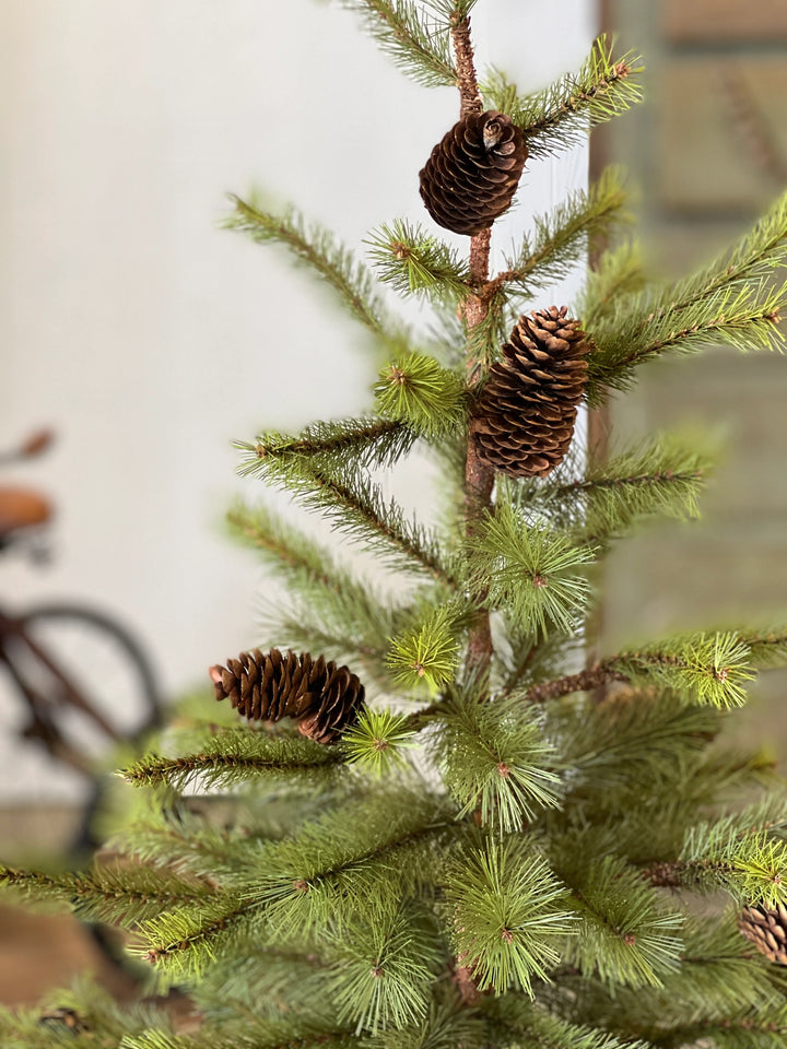 Caribou Ridge Pinecone Tree - Local Pickup