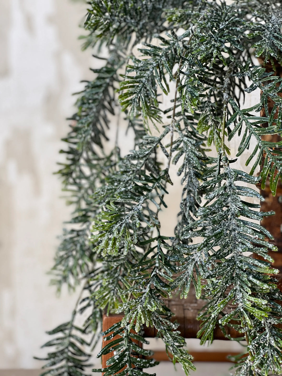 Snowshoe Hemlock Hanging Foliage