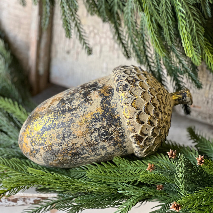 Nature's Golden Acorn