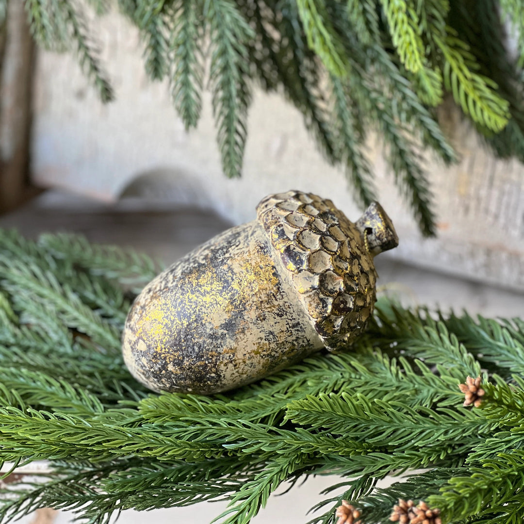Nature's Golden Acorn