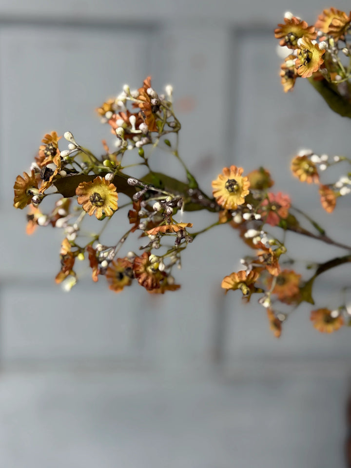 Dusk Daisy Spray