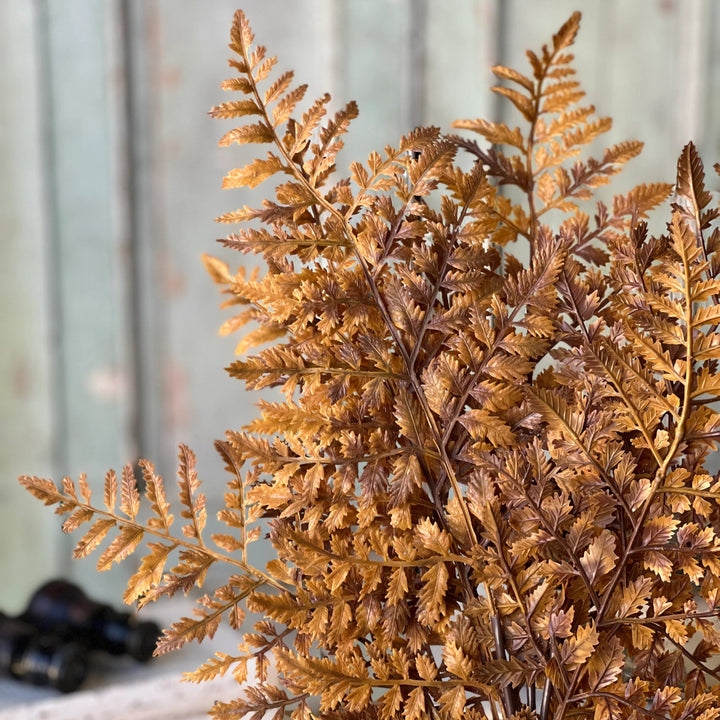 Bronze Autumnal Fern Bundle