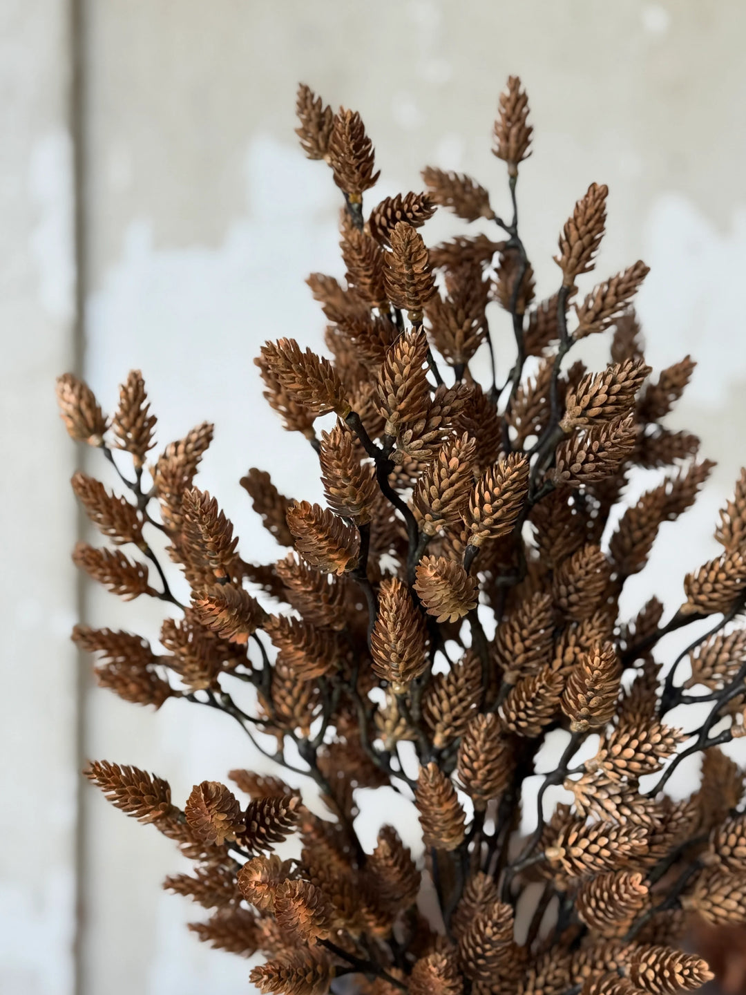 Plethora Pinecones Bush