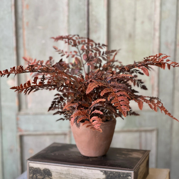 Dark Autumnal Potted Fern