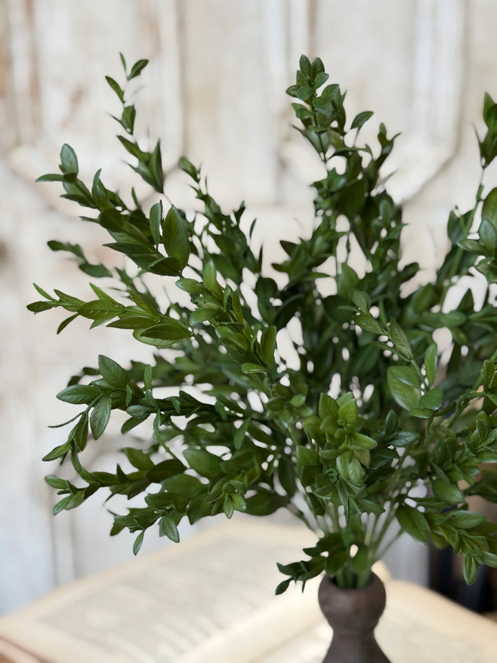 Nottswood Leaves Bush