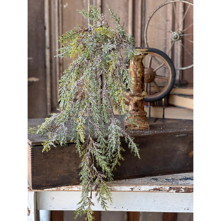 Snowy Prickly Pine Hanging Folidage