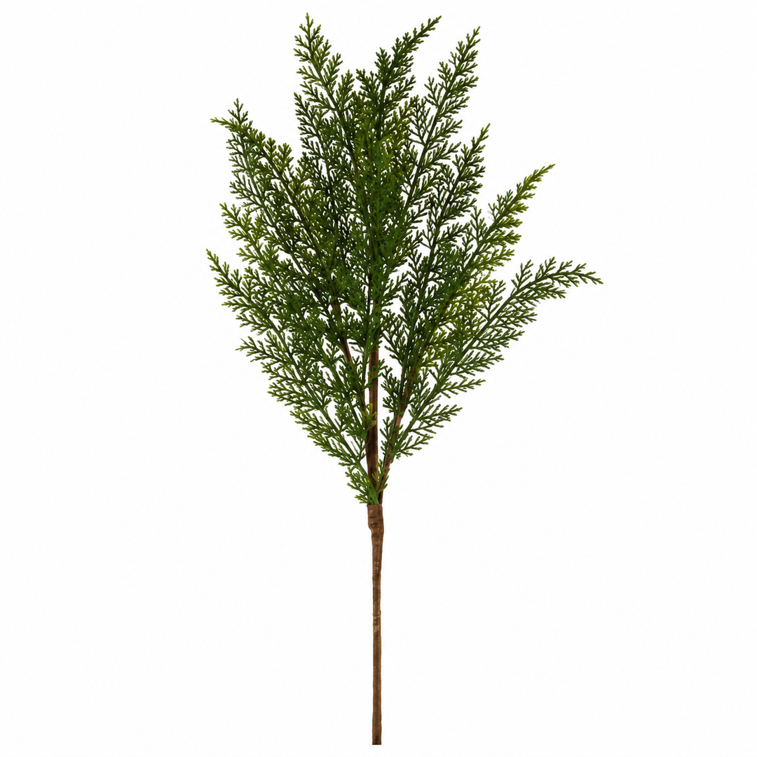 Cedar Spray