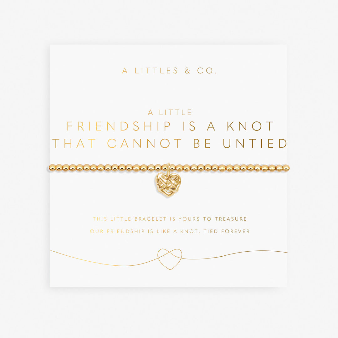 A Little Friendship Is A Knot That Cannot Be Untied Bracelet