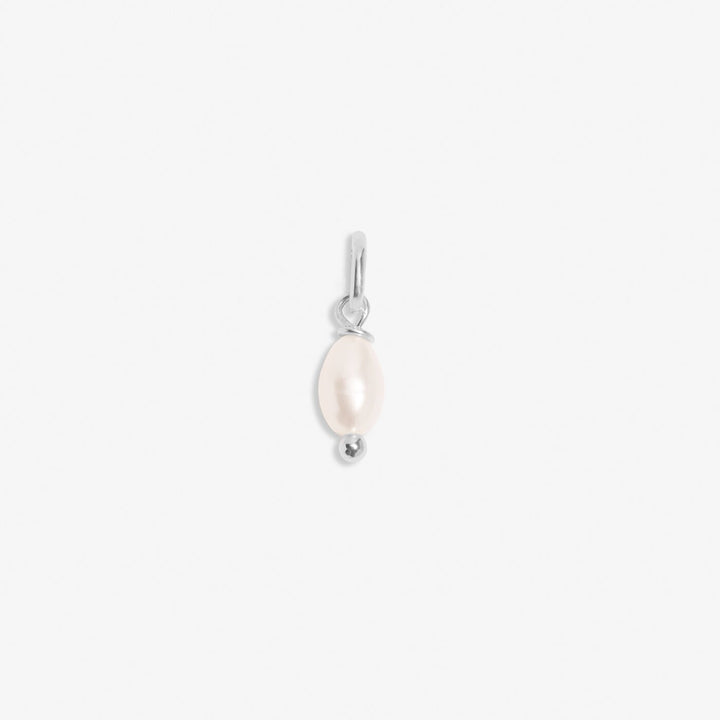 Silver Small Charm