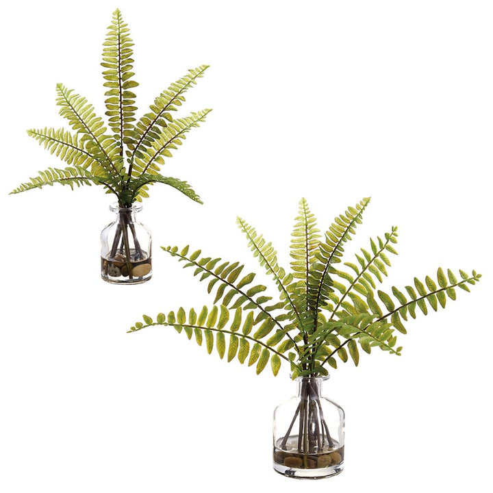 Boston Fern Glass Vase Arrangement