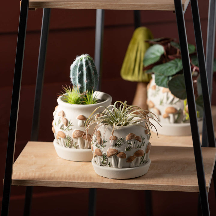 Earthy Mushroom Planter