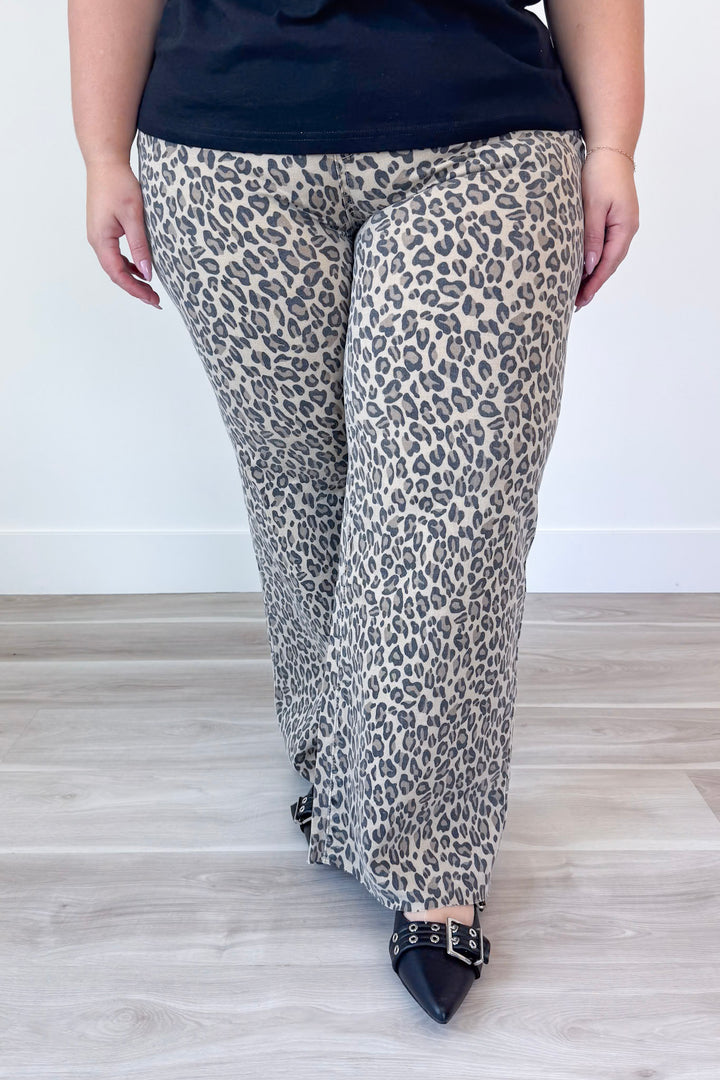 Just For Fun Pant Curvy