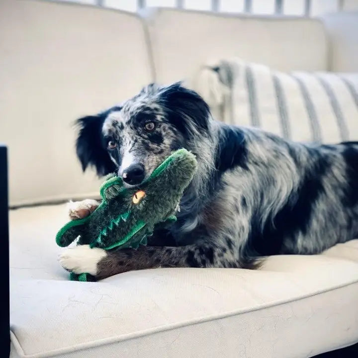 Ruffian Safari Gator Dog Toy