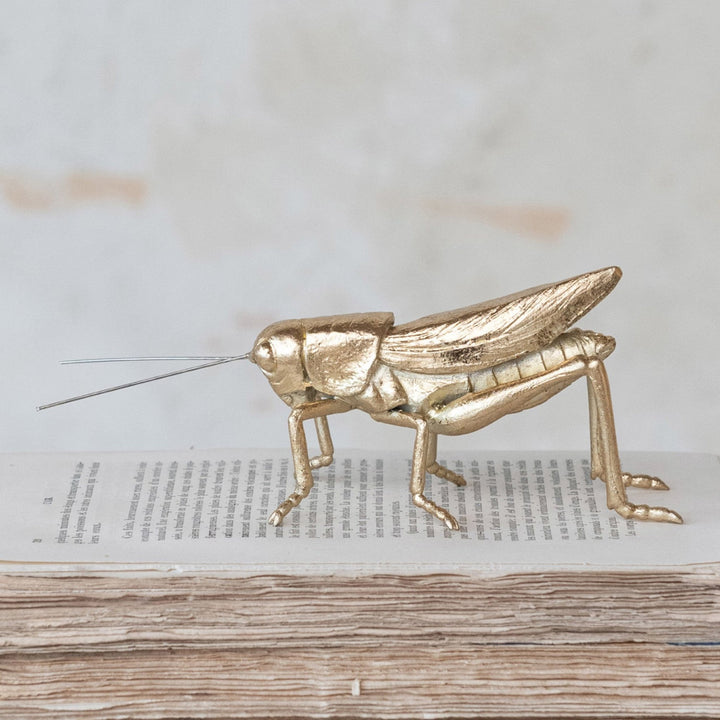 Gold Finish Grass Hopper