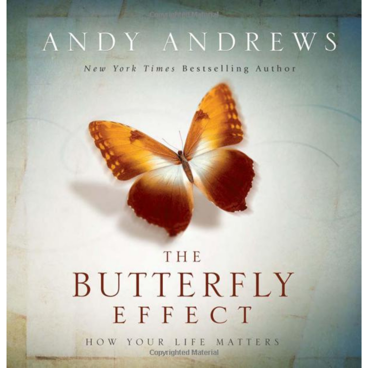 The Butterfly Affect: How Your Life Matters