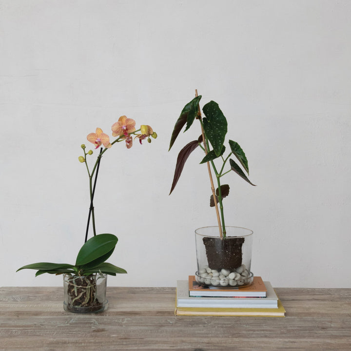 Hand Blown Glass Planter