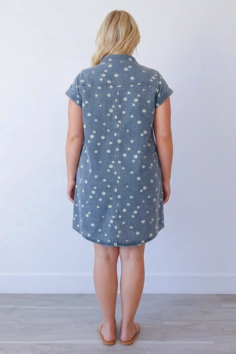 Dancing Daisies Dress Curvy