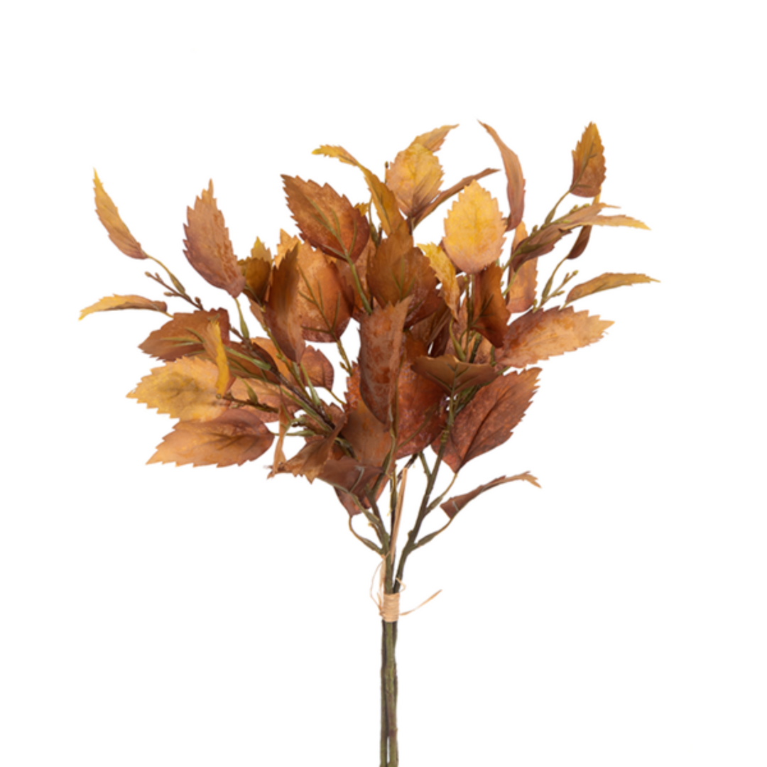 Fire Birch Leave Bundle