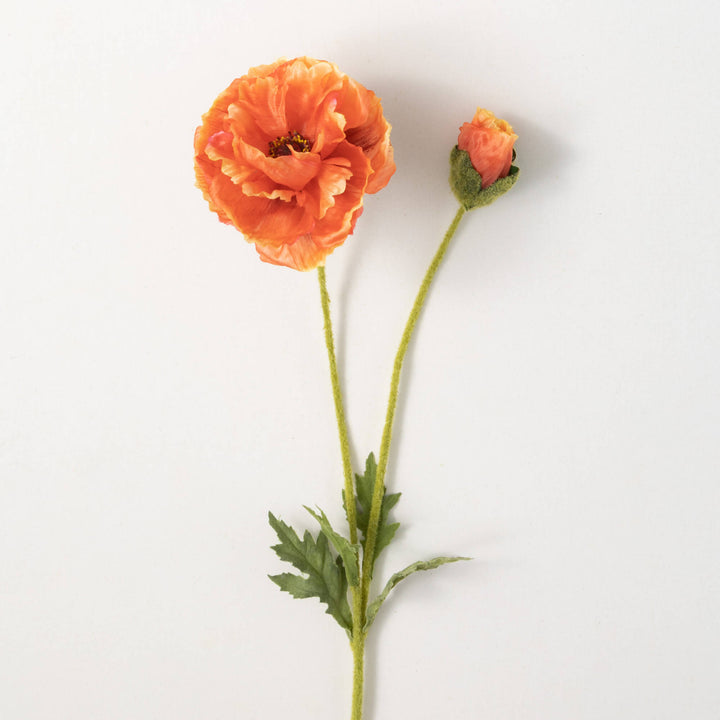 Orange Poppy Spray