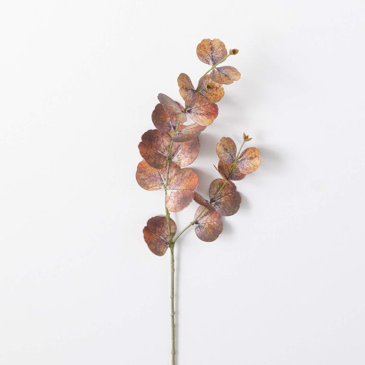 Large Leaf Eucalyptus Spray