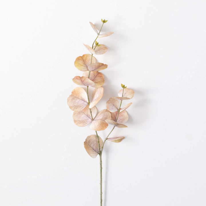Large Leaf Eucalyptus Spray