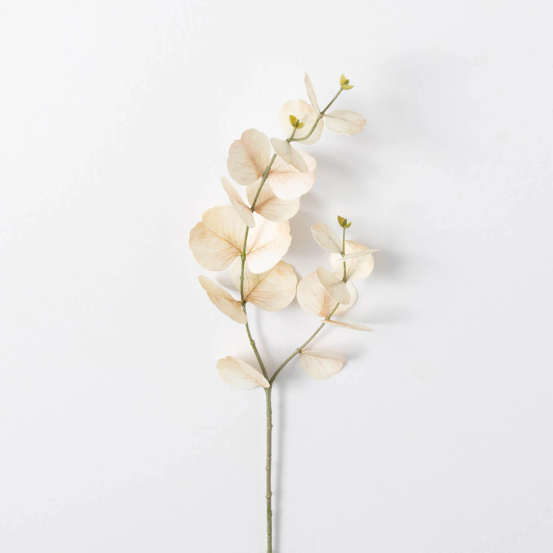 Large Leaf Eucalyptus Spray