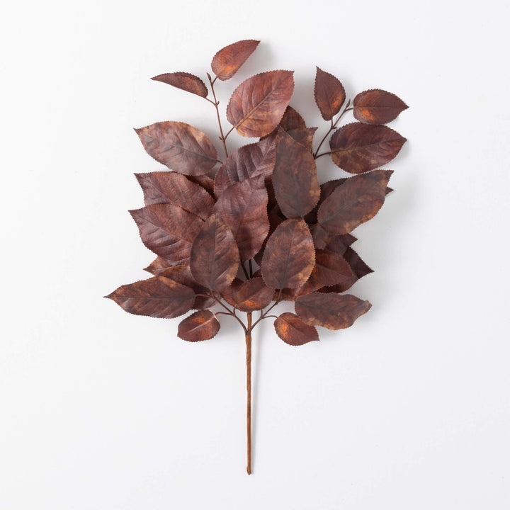 Salal Leaf Spray