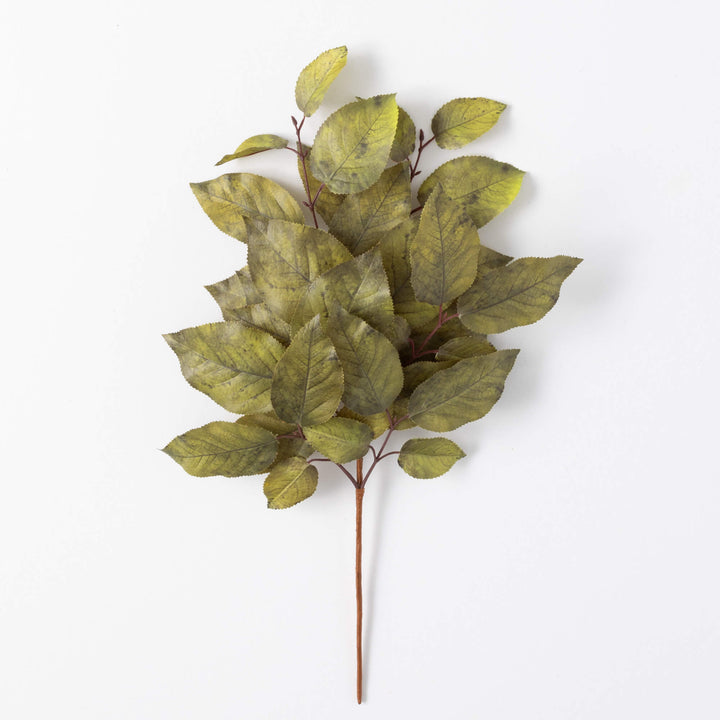 Salal Leaf Spray
