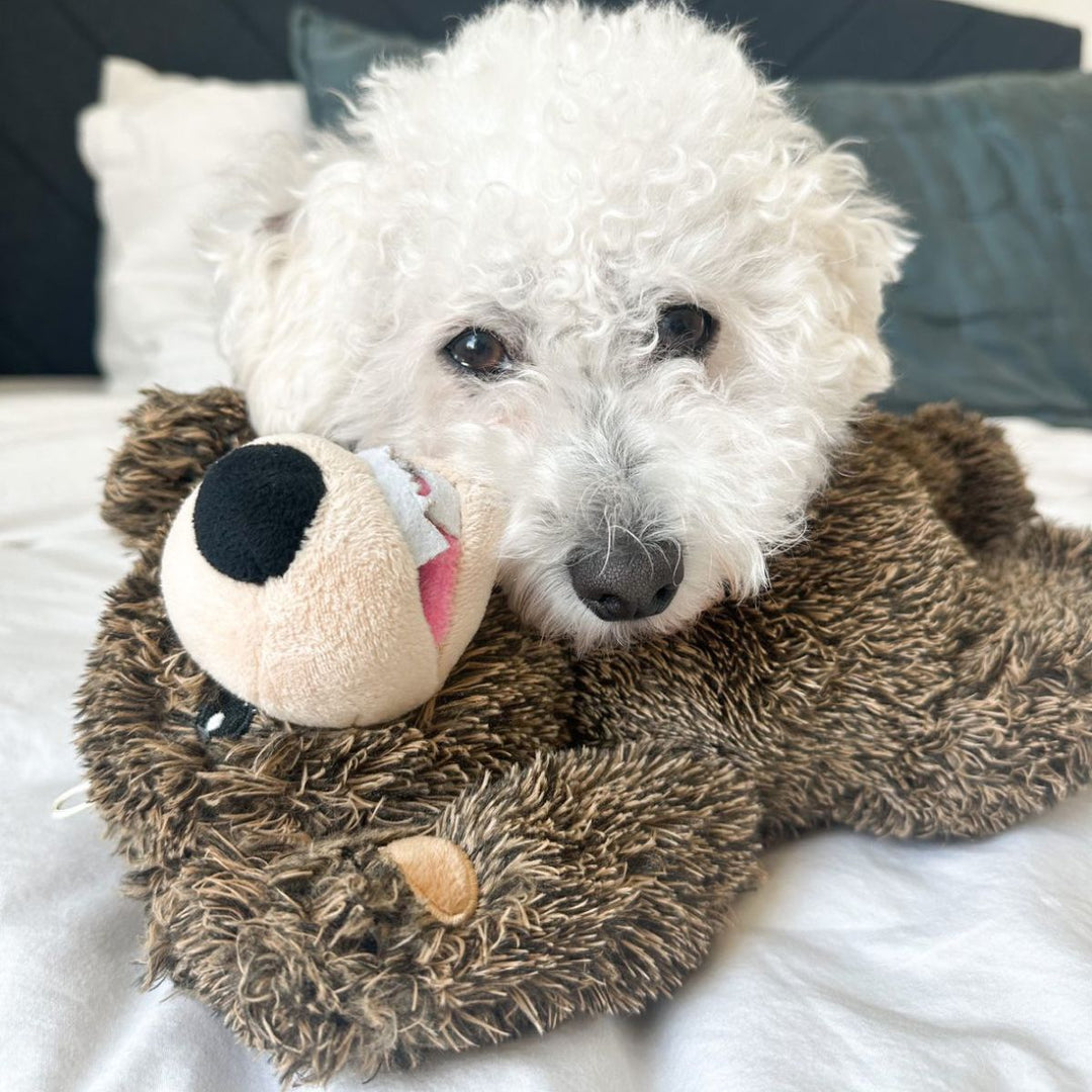 Grizzly Bear Rope Dog Toy