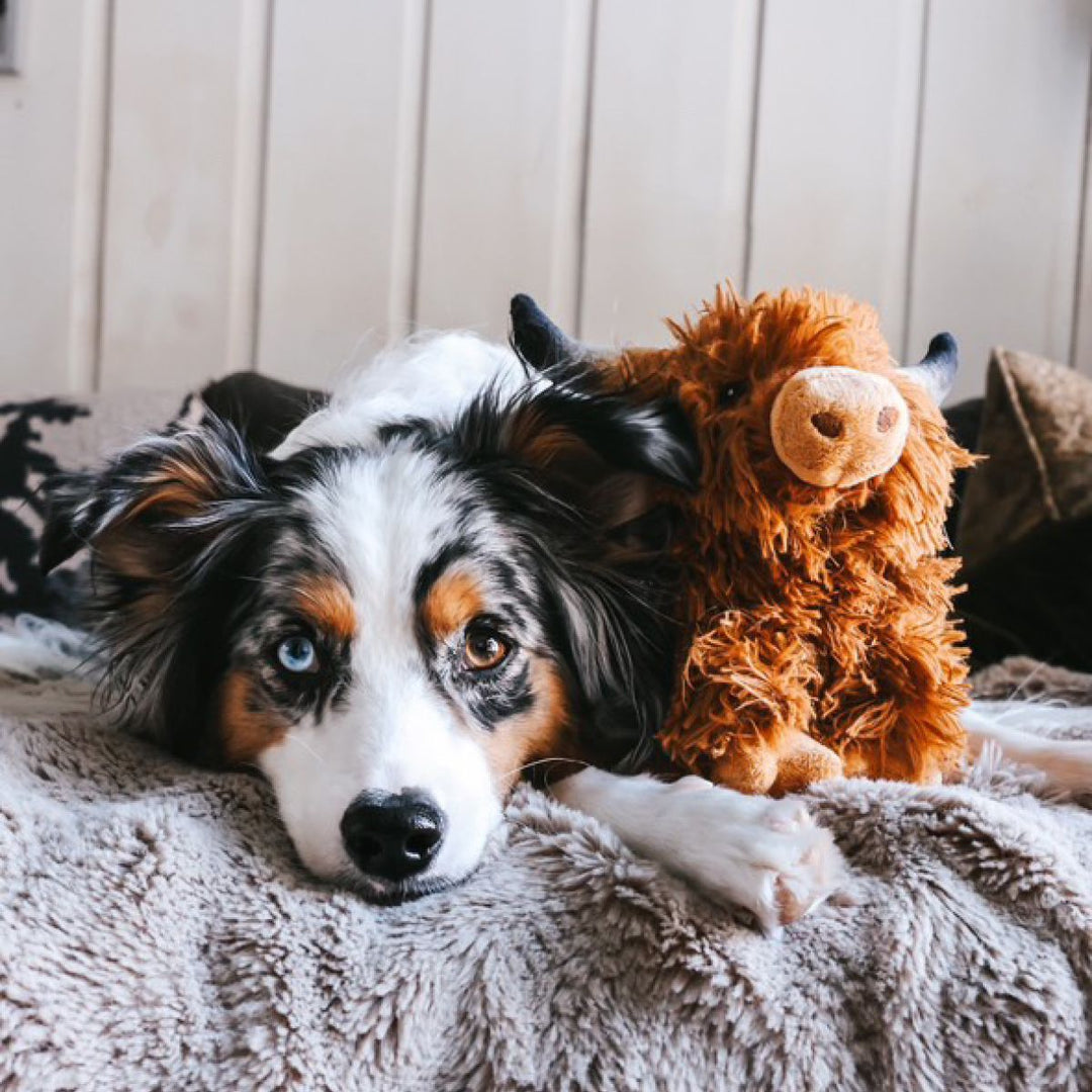 Plush Highland Cow